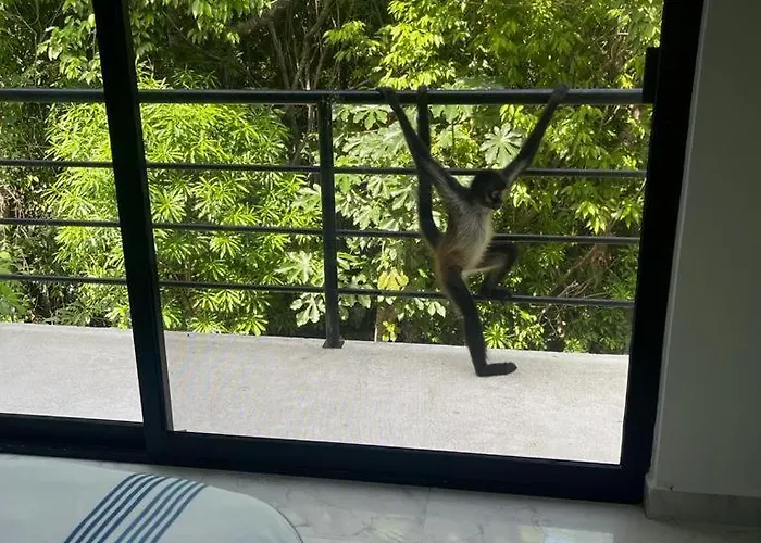 Willa Casa Maya